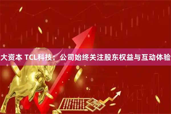 大资本 TCL科技：公司始终关注股东权益与互动体验