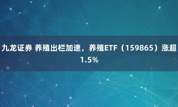 九龙证券 养殖出栏加速，养殖ETF（159865）涨超1.5%