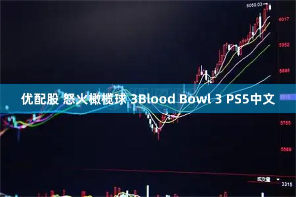 优配股 怒火橄榄球 3Blood Bowl 3 PS5中文