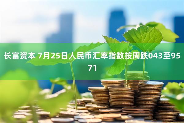 长富资本 7月25日人民币汇率指数按周跌043至9571